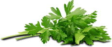 parsley