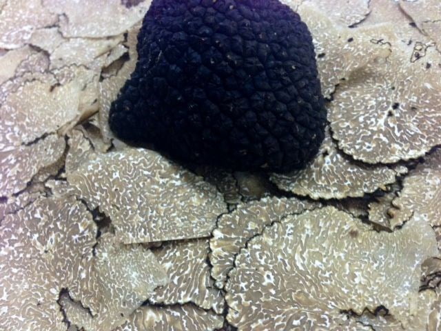 FROZEN SUMMER TRUFFLE 500gr